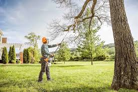 Reliable Evans, GA Tree Removal and Landscaping Services Solutions